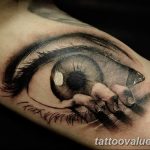 photo of eye tattoo 27.11.2018 №075 - an example of a finished eye tattoo - tattoovalue.net