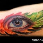 photo of eye tattoo 27.11.2018 №202 - an example of a finished eye tattoo - tattoovalue.net