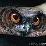 photo of eye tattoo 27.11.2018 №211 - an example of a finished eye tattoo - tattoovalue.net