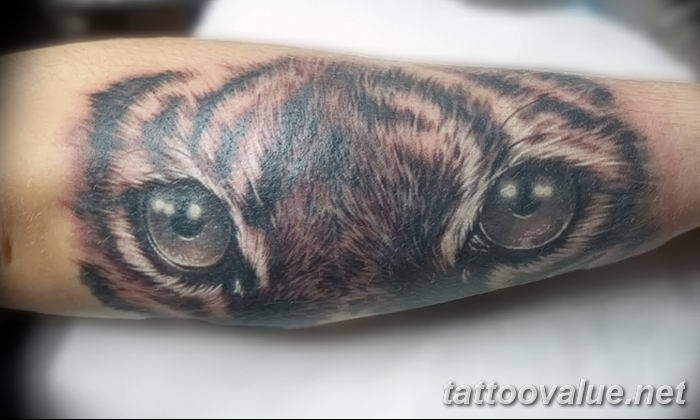 photo of eye tattoo 27.11.2018 №275 - an example of a finished eye tattoo - tattoovalue.net