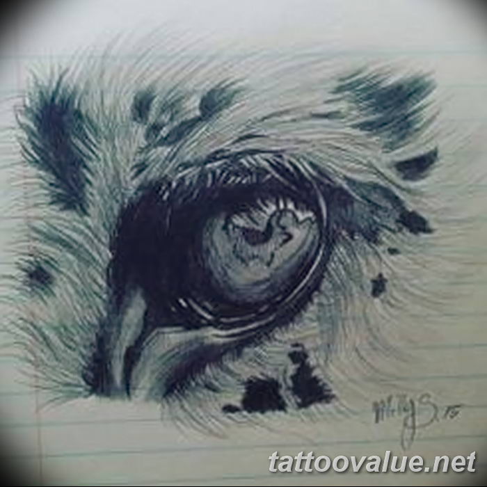 photo of eye tattoo 27.11.2018 №337 - an example of a finished eye tattoo - tattoovalue.net