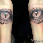 photo of eye tattoo 27.11.2018 №384 - an example of a finished eye tattoo - tattoovalue.net