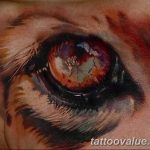 photo of eye tattoo 27.11.2018 №406 - an example of a finished eye tattoo - tattoovalue.net