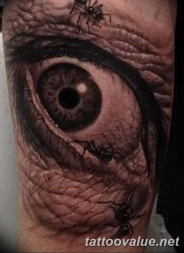 photo of eye tattoo 27.11.2018 №429 - an example of a finished eye tattoo - tattoovalue.net