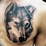 photo of wolf tattoo 27.11.2018 №006 - an example of a finished wolf tattoo - tattoovalue.net