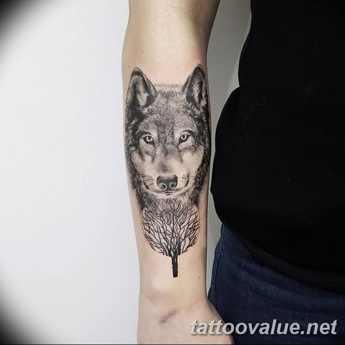 TANTRA TATTOO on Twitter Alpha wolf tattoo alpha chennaitattoostudio  chennaitattoomodel chennaites httpstcoLMSbJfDwKR  Twitter