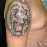 photo of wolf tattoo 27.11.2018 №290 - an example of a finished wolf tattoo - tattoovalue.net