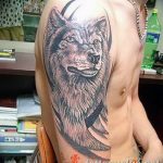 photo of wolf tattoo 27.11.2018 №302 - an example of a finished wolf tattoo - tattoovalue.net