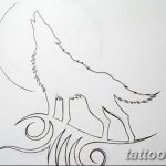 photo of wolf tattoo 27.11.2018 №315 - an example of a finished wolf tattoo - tattoovalue.net