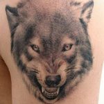 photo of wolf tattoo 27.11.2018 №324 - an example of a finished wolf tattoo - tattoovalue.net
