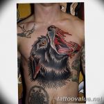 photo of wolf tattoo 27.11.2018 №003 - an example of a finished wolf tattoo - tattoovalue.net