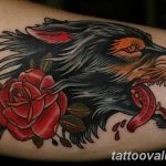 photo of wolf tattoo 27.11.2018 №005 - an example of a finished wolf tattoo - tattoovalue.net