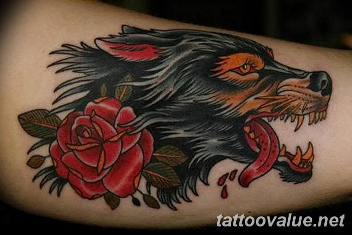 photo of wolf tattoo 27.11.2018 №005 - an example of a finished wolf tattoo - tattoovalue.net