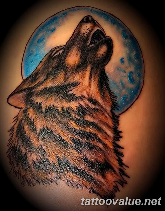 photo of wolf tattoo 27.11.2018 №011 - an example of a finished wolf tattoo - tattoovalue.net