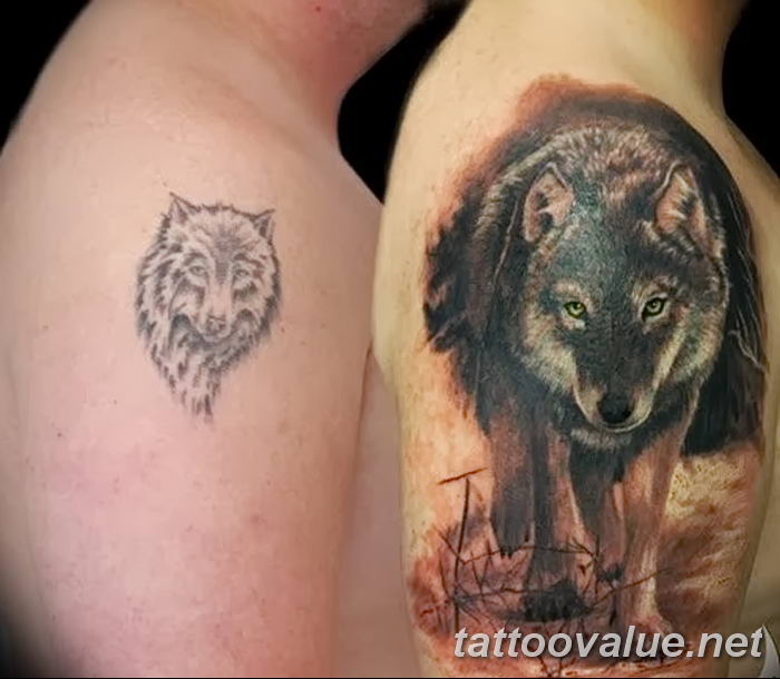 photo of wolf tattoo 27.11.2018 №021 - an example of a finished wolf tattoo - tattoovalue.net