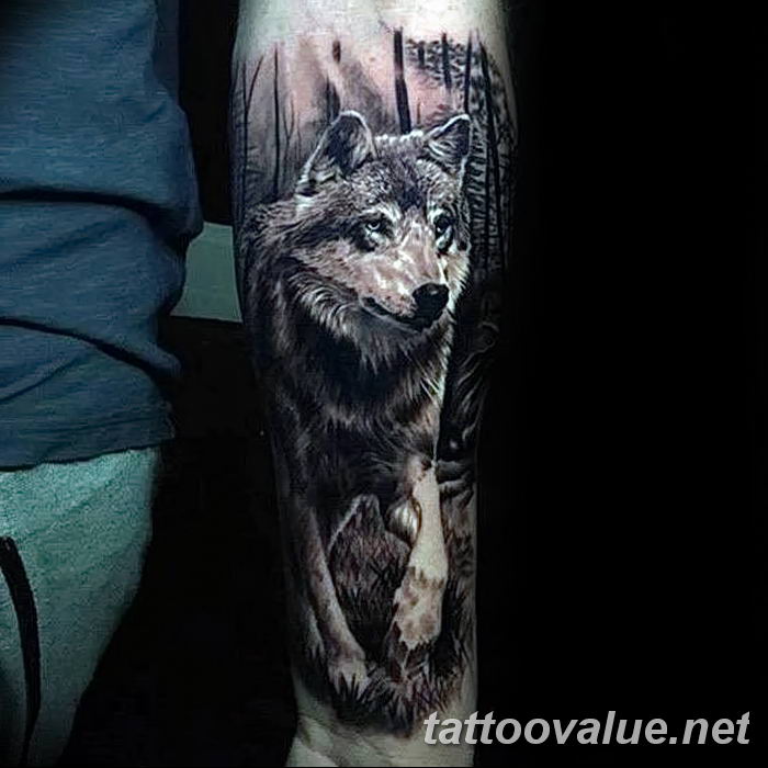 photo of wolf tattoo 27.11.2018 №024 - an example of a finished wolf tattoo - tattoovalue.net