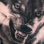 photo of wolf tattoo 27.11.2018 №025 - an example of a finished wolf tattoo - tattoovalue.net