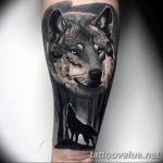 photo of wolf tattoo 27.11.2018 №026 - an example of a finished wolf tattoo - tattoovalue.net