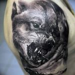 photo of wolf tattoo 27.11.2018 №044 - an example of a finished wolf tattoo - tattoovalue.net