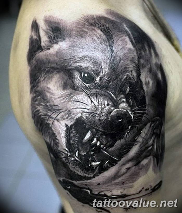 photo of wolf tattoo 27.11.2018 №044 - an example of a finished wolf tattoo - tattoovalue.net