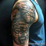 photo of wolf tattoo 27.11.2018 №049 - an example of a finished wolf tattoo - tattoovalue.net