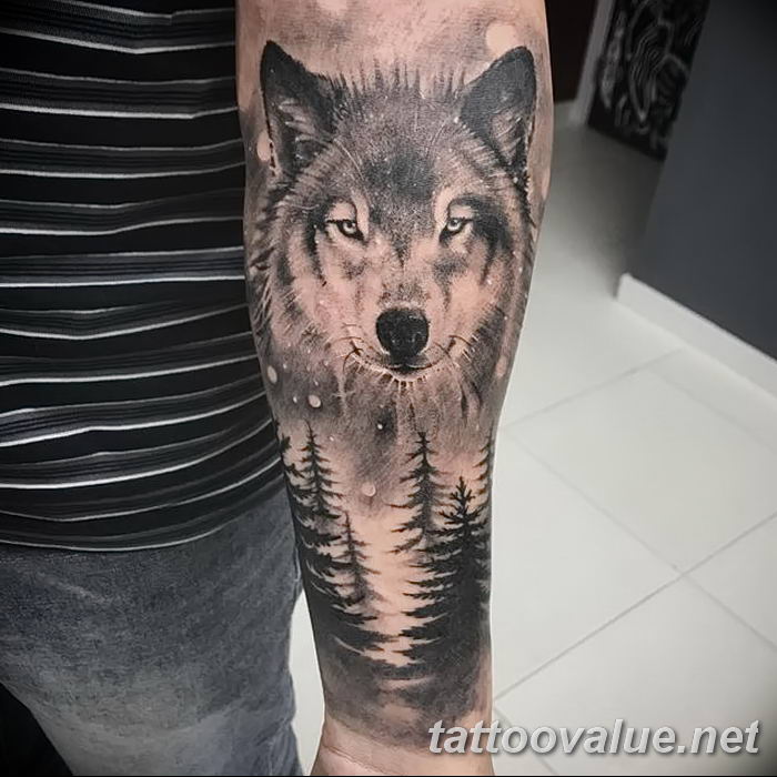 photo of wolf tattoo 27.11.2018 №053 - an example of a finished wolf tattoo - tattoovalue.net
