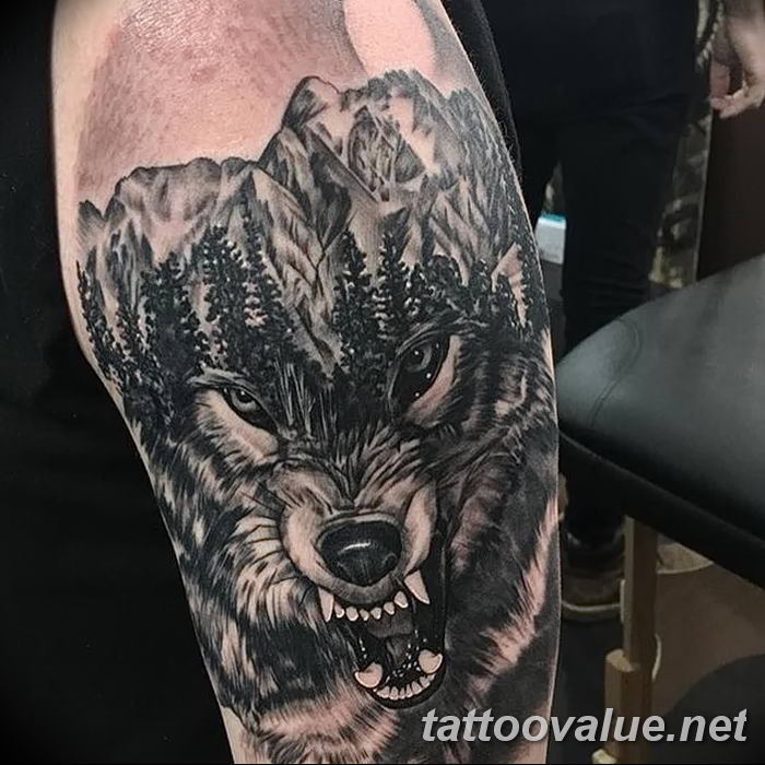 photo of wolf tattoo 27.11.2018 №054 - an example of a finished wolf tattoo - tattoovalue.net