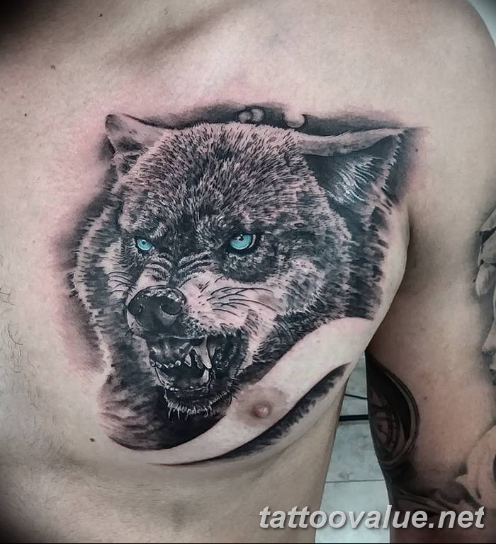 photo of wolf tattoo 27.11.2018 №059 - an example of a finished wolf tattoo - tattoovalue.net