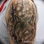 photo of wolf tattoo 27.11.2018 №060 - an example of a finished wolf tattoo - tattoovalue.net