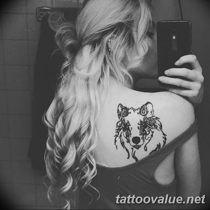 photo of wolf tattoo 27.11.2018 №065 - an example of a finished wolf tattoo - tattoovalue.net