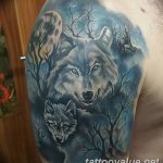 photo of wolf tattoo 27.11.2018 №075 - an example of a finished wolf tattoo - tattoovalue.net