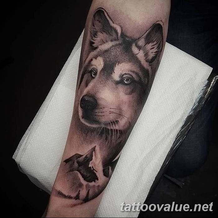photo of wolf tattoo 27.11.2018 №077 - an example of a finished wolf tattoo - tattoovalue.net