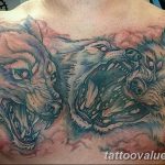 photo of wolf tattoo 27.11.2018 №082 - an example of a finished wolf tattoo - tattoovalue.net