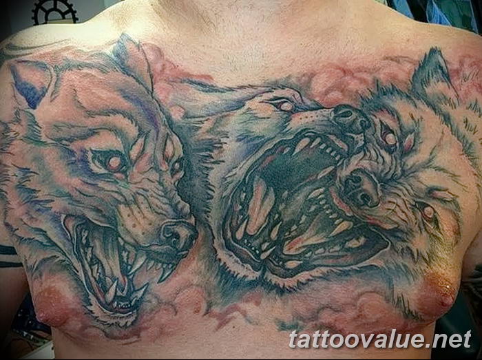 photo of wolf tattoo 27.11.2018 №082 - an example of a finished wolf tattoo - tattoovalue.net
