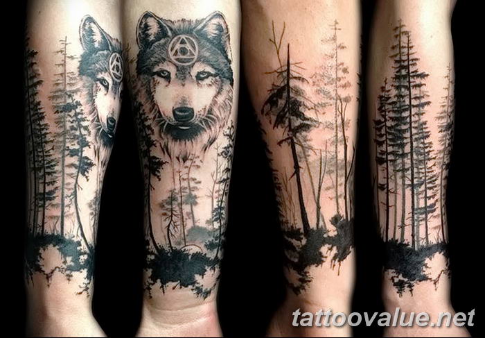 photo of wolf tattoo 27.11.2018 №084 - an example of a finished wolf tattoo - tattoovalue.net
