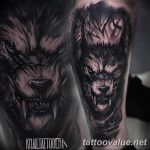 photo of wolf tattoo 27.11.2018 №086 - an example of a finished wolf tattoo - tattoovalue.net