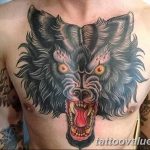 photo of wolf tattoo 27.11.2018 №090 - an example of a finished wolf tattoo - tattoovalue.net