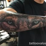 photo of wolf tattoo 27.11.2018 №097 - an example of a finished wolf tattoo - tattoovalue.net