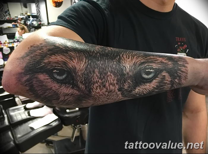 photo of wolf tattoo 27.11.2018 №097 - an example of a finished wolf tattoo - tattoovalue.net