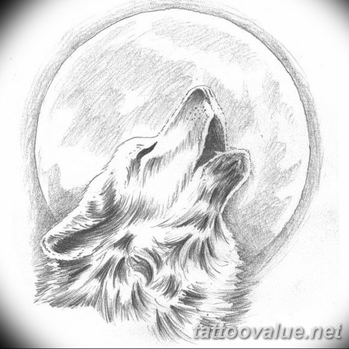 photo of wolf tattoo 27.11.2018 №106 - an example of a finished wolf tattoo - tattoovalue.net