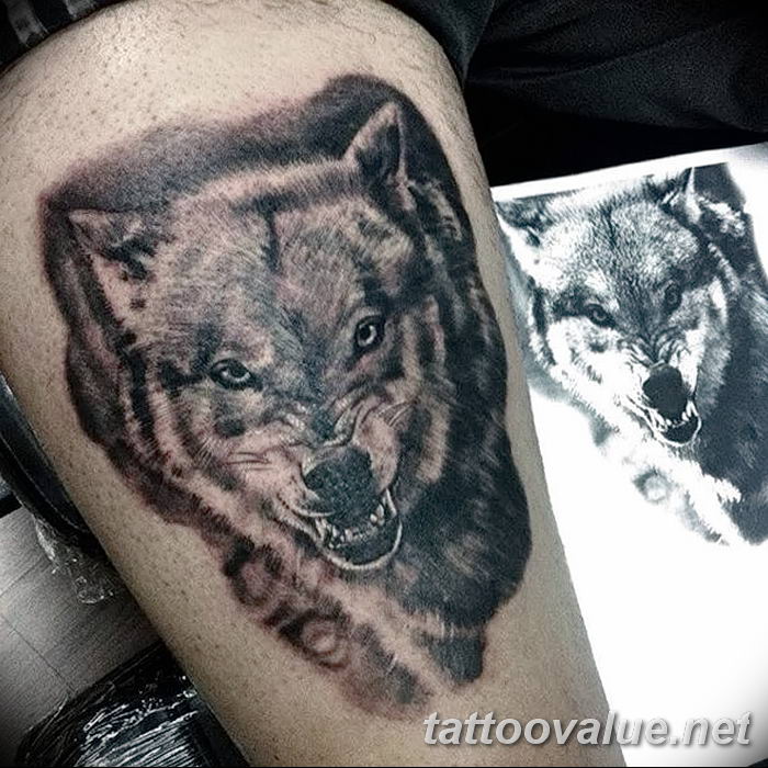 photo of wolf tattoo 27.11.2018 №112 - an example of a finished wolf tattoo - tattoovalue.net