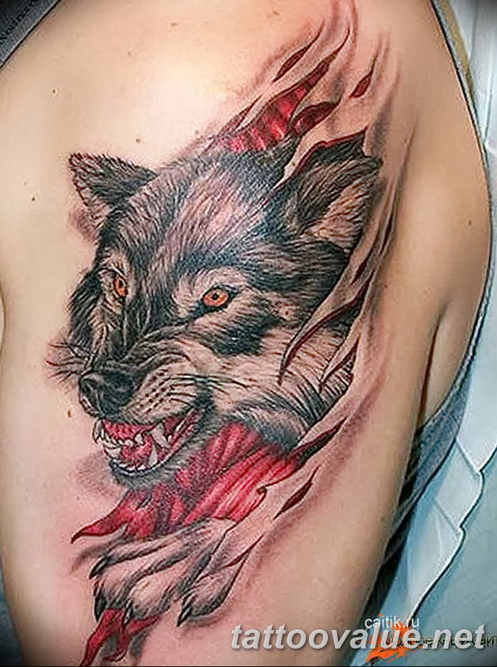 photo of wolf tattoo 27.11.2018 №114 - an example of a finished wolf tattoo - tattoovalue.net