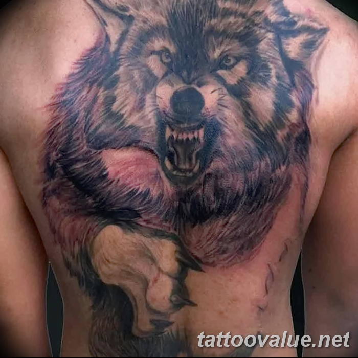 photo of wolf tattoo 27.11.2018 №115 - an example of a finished wolf tattoo - tattoovalue.net
