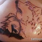 photo of wolf tattoo 27.11.2018 №124 - an example of a finished wolf tattoo - tattoovalue.net