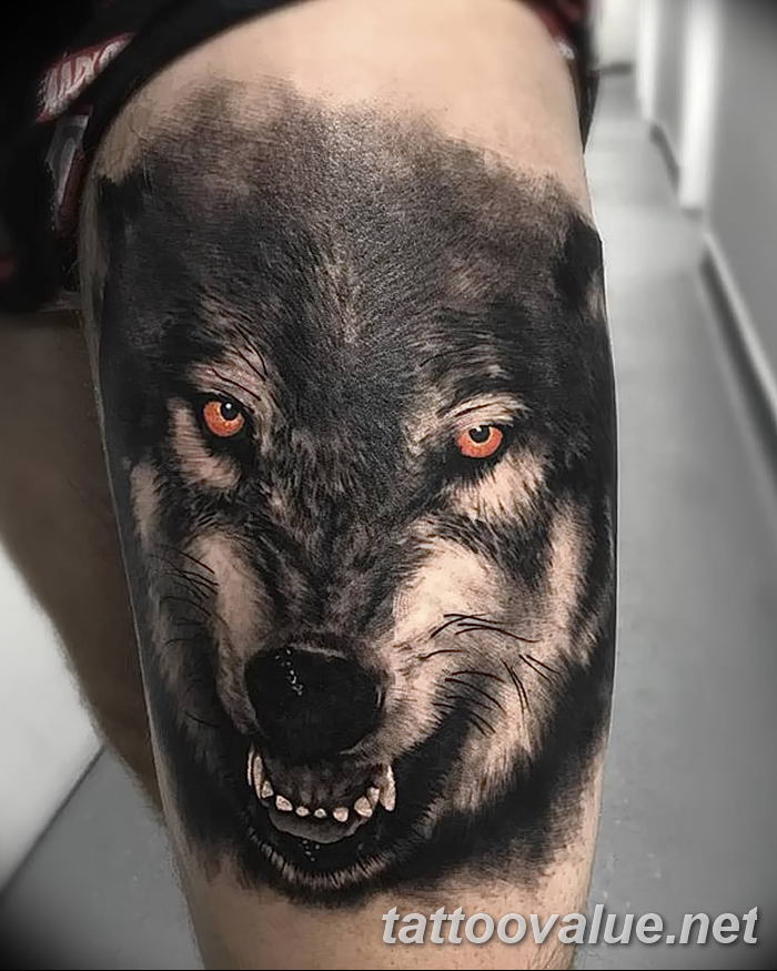 photo of wolf tattoo 27.11.2018 №146 - an example of a finished wolf tattoo - tattoovalue.net