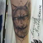 photo of wolf tattoo 27.11.2018 №148 - an example of a finished wolf tattoo - tattoovalue.net
