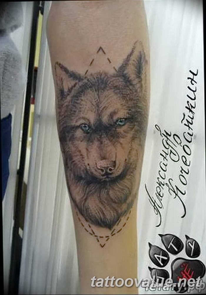 photo of wolf tattoo 27.11.2018 №148 - an example of a finished wolf tattoo - tattoovalue.net