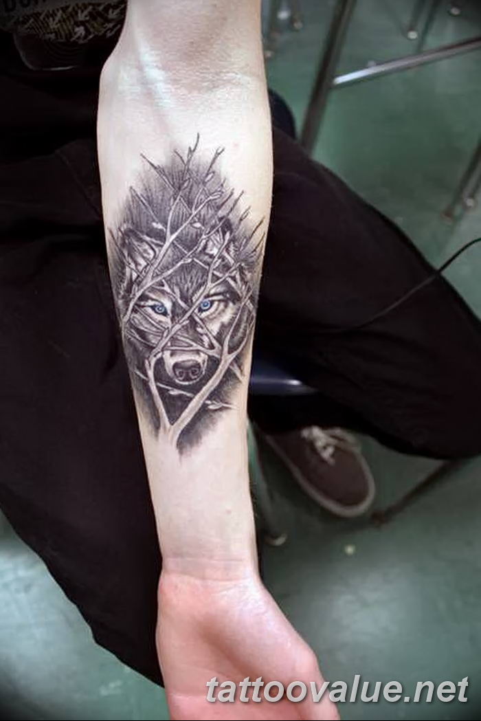 photo of wolf tattoo 27.11.2018 №150 - an example of a finished wolf tattoo - tattoovalue.net