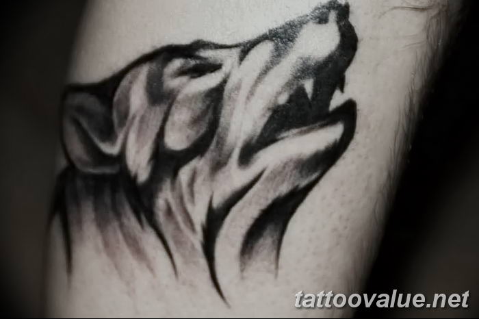 photo of wolf tattoo 27.11.2018 №153 - an example of a finished wolf tattoo - tattoovalue.net