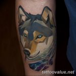 photo of wolf tattoo 27.11.2018 №154 - an example of a finished wolf tattoo - tattoovalue.net